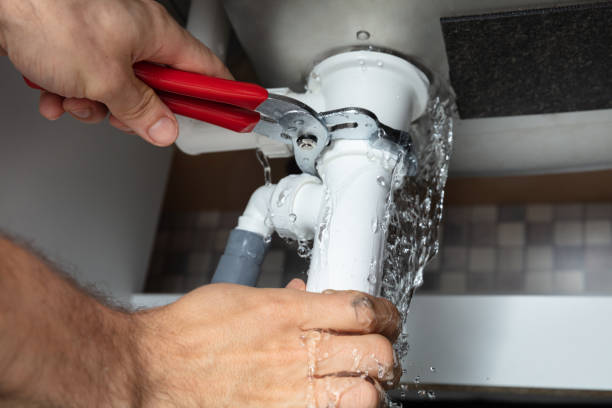 Best Carpet water damage restoration  in Rosedale, MD