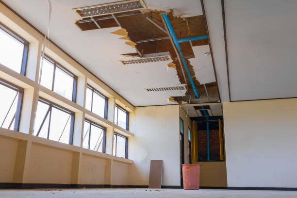 Best Fire Damage Restoration  in Rosedale, MD