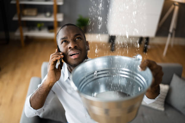 Best Water damage restoration near me  in Rosedale, MD
