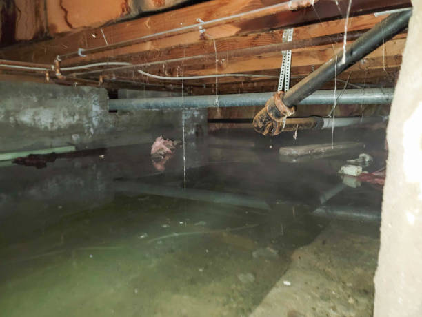 Reliable Rosedale, MD Water damage restoration Solutions