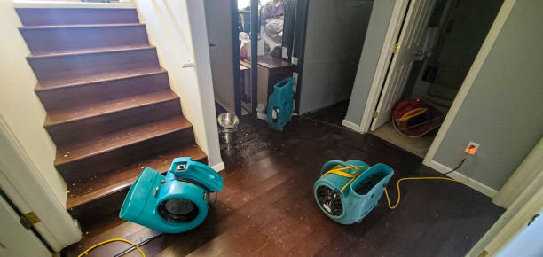 Best Ceiling water damage repair  in Rosedale, MD