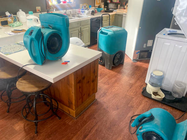  Rosedale, MD Water damage restoration Pros