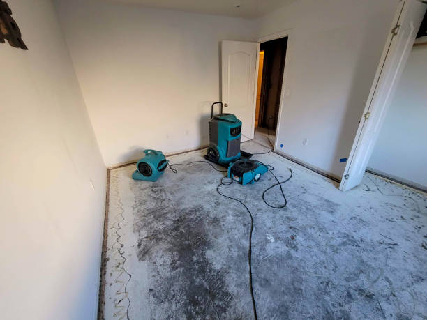 Best Mold removal after water damage  in Rosedale, MD