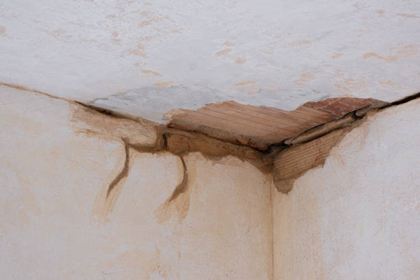 Best Water damage restoration mold remediation  in Rosedale, MD