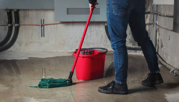 Best Flood damage cleanup  in Rosedale, MD