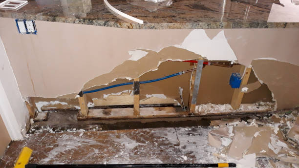 Best Water damage restoration experts  in Rosedale, MD