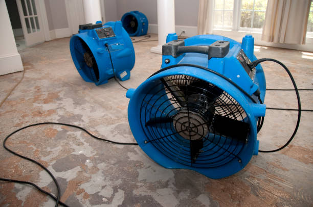 Best Water damage restoration near me  in Rosedale, MD