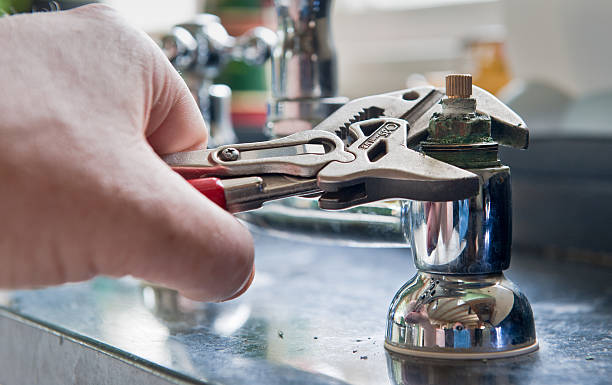 Best Water damage restoration specialists  in Rosedale, MD