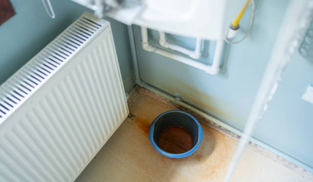 Best Flood restoration services  in Rosedale, MD