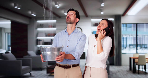 Best Basement water damage restoration  in Rosedale, MD